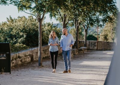 coaching entreprise hérault formation professionnelle