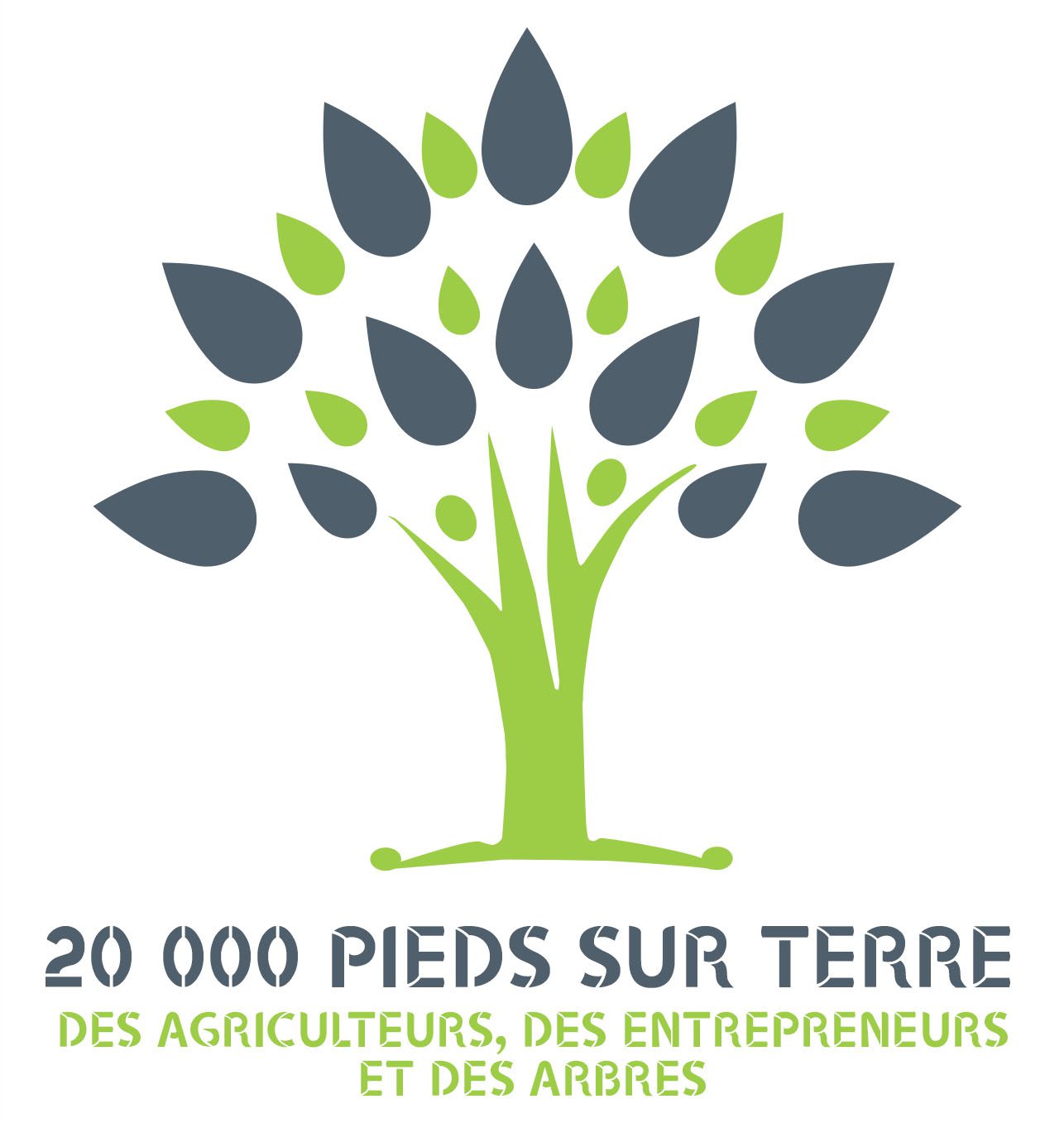 Engagement 20000 pieds sur terre