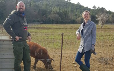 20 000 Pieds Sur Terre